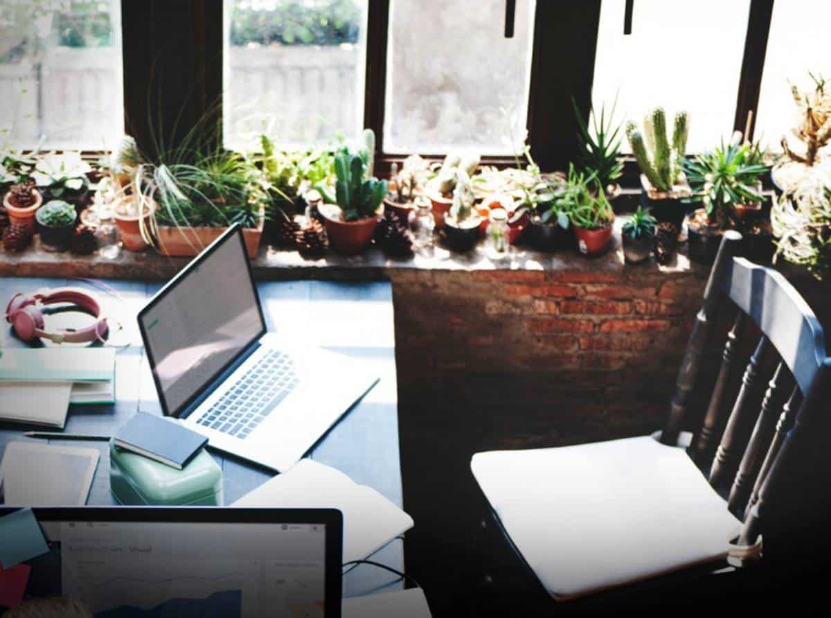A cosy workspace featuring laptops, headphones, and a variety of indoor plants by bright windows.