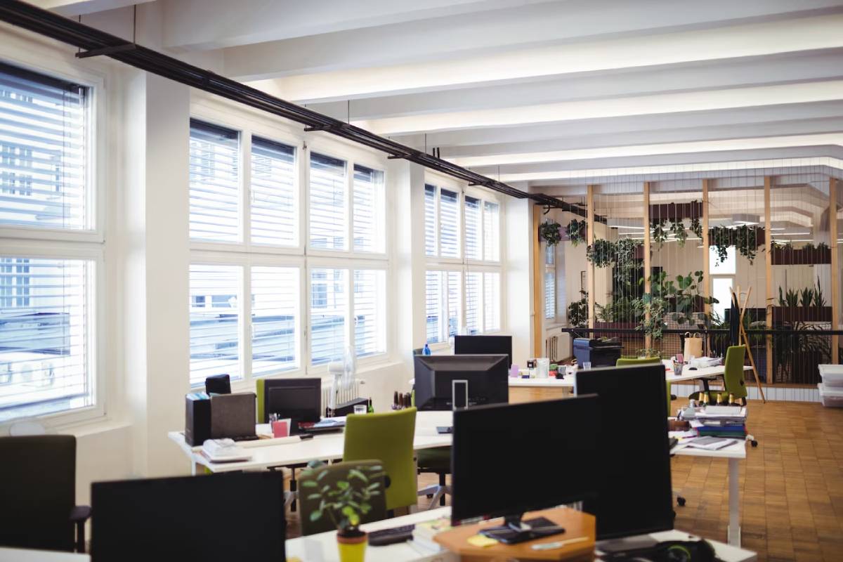 An open office space featuring numerous desks and various indoor plants throughout the area.