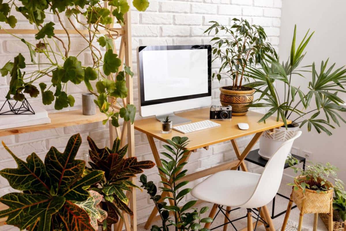 A modern home office desk surrounded by various indoor plants, with a computer and camera on the table.